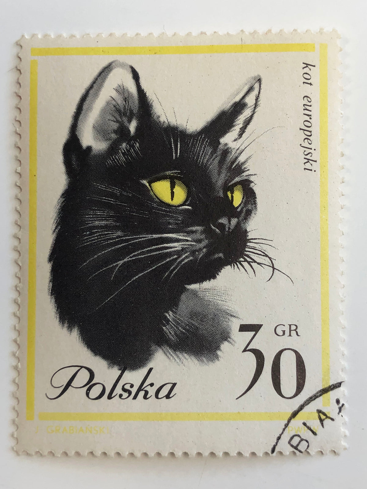 1964 Cat Stamp - Poland