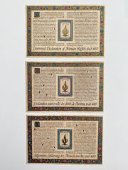 1988 United Nations set of 3 stamps