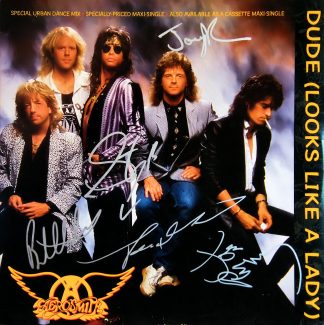 Aerosmith  Aerosmith
Dude (Looks Like A Lady)
1987