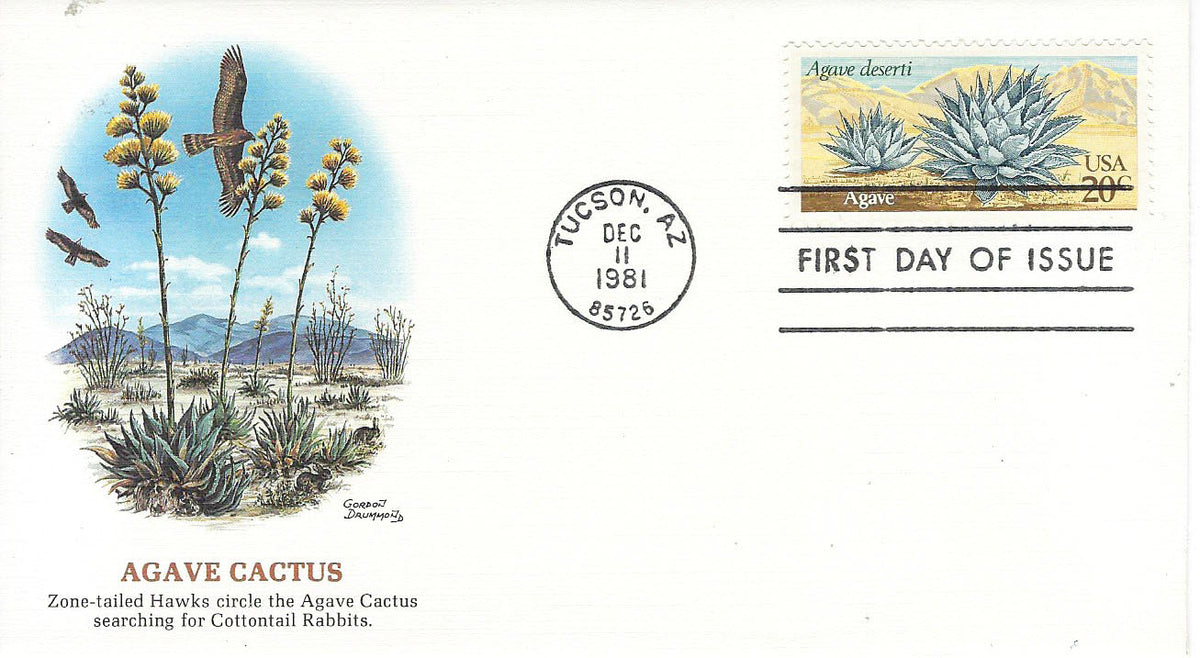 Agave Cactus FDC