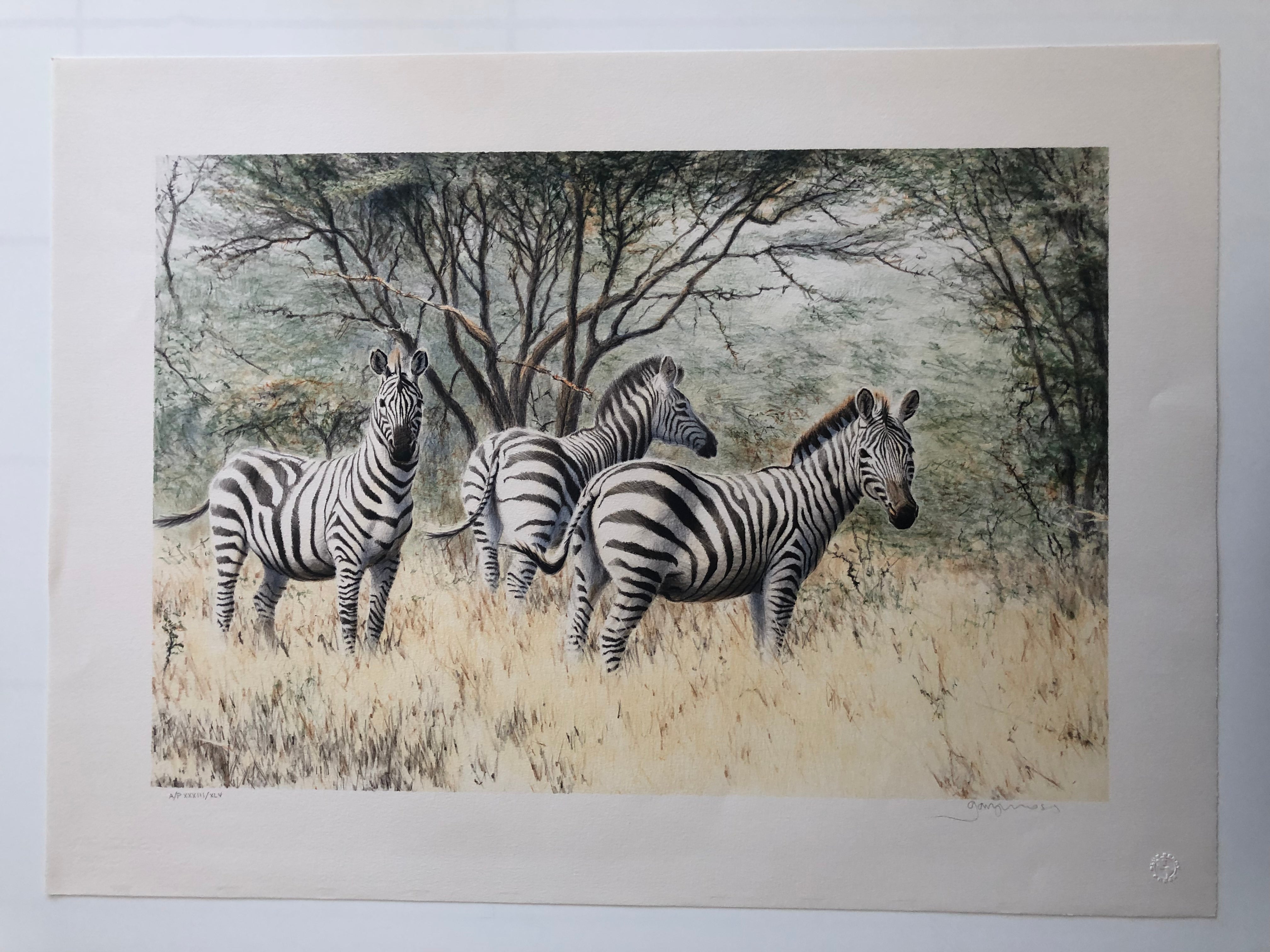 A Dazzle of Zebras Print