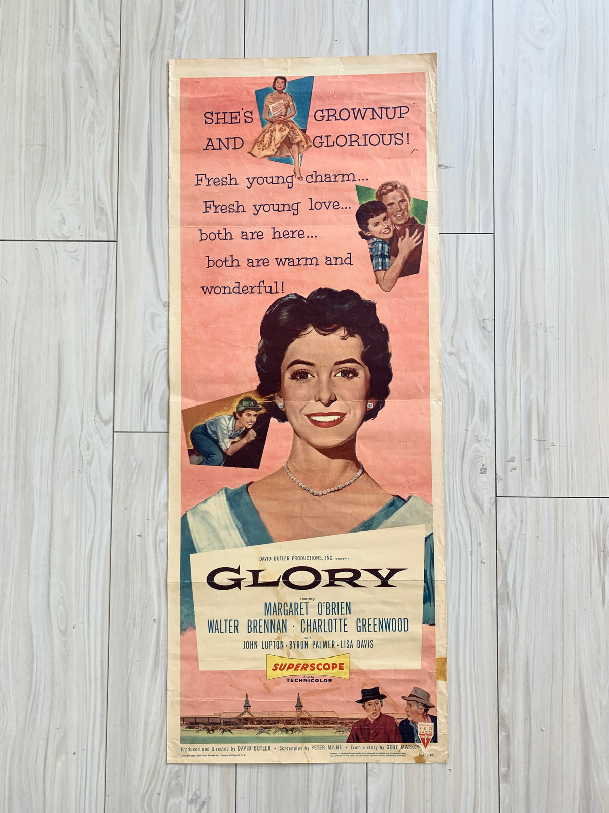 Glory original 1955 vintage insert movie poster